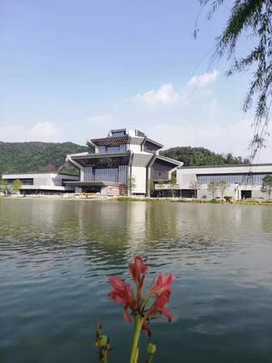 南海文化中心2